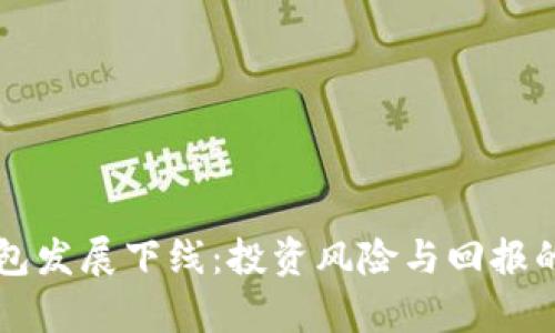 虚拟币钱包发展下线：投资风险与回报的全面分析